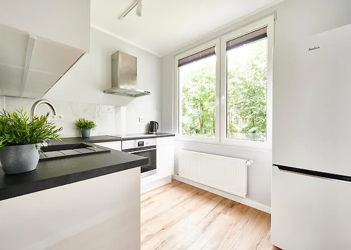 Apartment Gm U Profesora